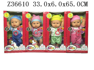 14Incun doll&IC